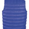 MENS ICE BIRD PADDED GILET
